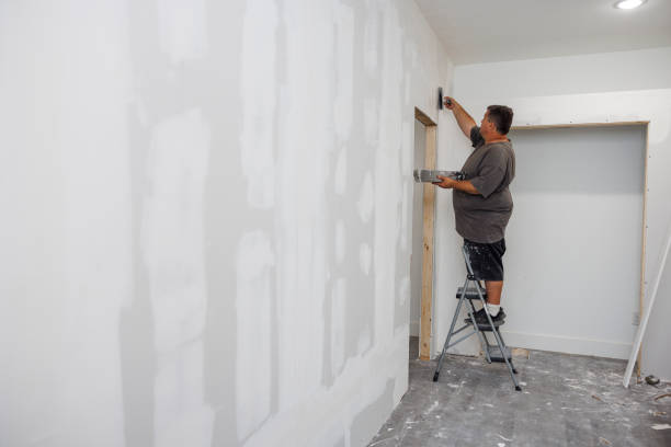 Best Post-Construction Mold Inspection  in USA